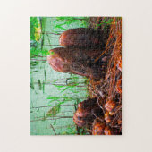 Cypress Knees Bayou Louisiana. Puzzle (Vertikal)