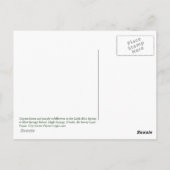 Cypress Knees Postcard Postkarte (Rückseite)