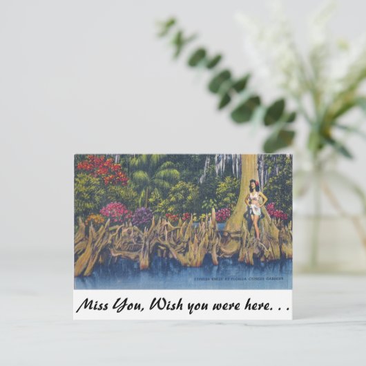 Cypress Knees Postkarte (Stehend Vorderseite)