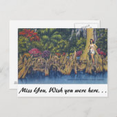 Cypress Knees Postkarte (Vorne/Hinten)