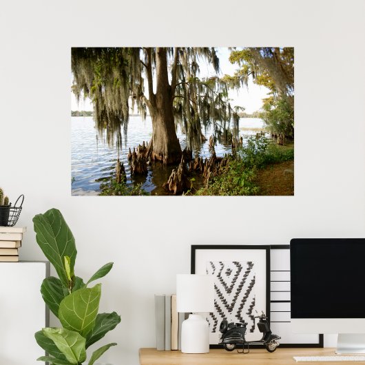 Cypress Lake Poster (Heimbüro)