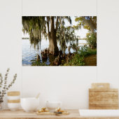 Cypress Lake Poster (Küche)