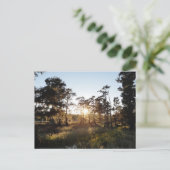 Cypress Lake Postkarte (Stehend Vorderseite)