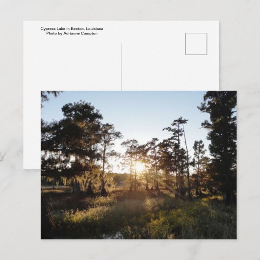 Cypress Lake Postkarte (Vorne/Hinten)