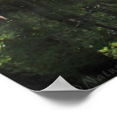 Cypress River A Part Poster -60x40 - oder kleiner (Ecke)