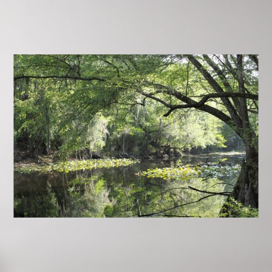 Cypress River A Part Poster -60x40 - oder kleiner (Vorne)