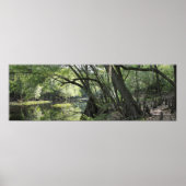 Cypress River Panoramic Poster -60x20 - oder klein (Vorne)