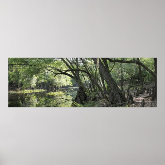 Cypress River Panoramic Poster -60x20 - oder klein (Vorne)