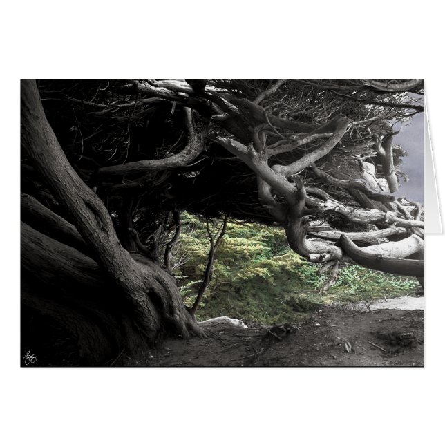 Cypress Skeleton - Karte (Vorderseite (Horizontal))