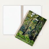 Cypress Sketch Book - 2001 Notizblock (Innen)