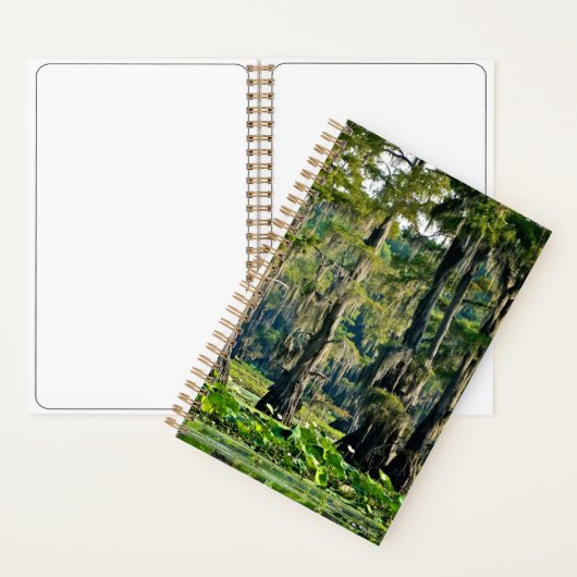 Cypress Sketch Book - 2001 Notizblock (Innen)