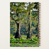 Cypress Sketch Book - 2001 Notizblock (Rückseite)