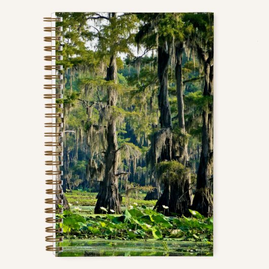 Cypress Sketch Book - 2001 Notizblock (Vorderseite)