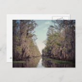 Cypress Suamp: Louisiana Postkarte (Vorne/Hinten)