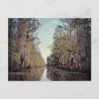 Cypress Suamp: Louisiana Postkarte