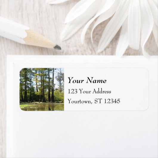 Cypress-Sumpflandschaft (Insitu)