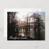 Cypress Sunset at Reelfoot Postkarte (Vorne/Hinten)