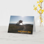 Cypress Tree Card Karte (Gelbe Blume)