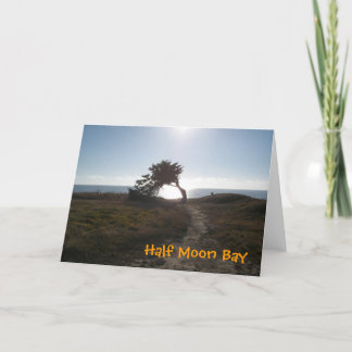 Cypress Tree Card Karte