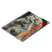 Cypress Tree Knees Notebook Notizblock (Linke Seite)