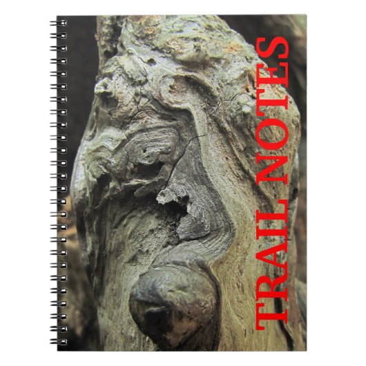 Cypress Tree Knees Notebook Notizblock (Vorderseite)