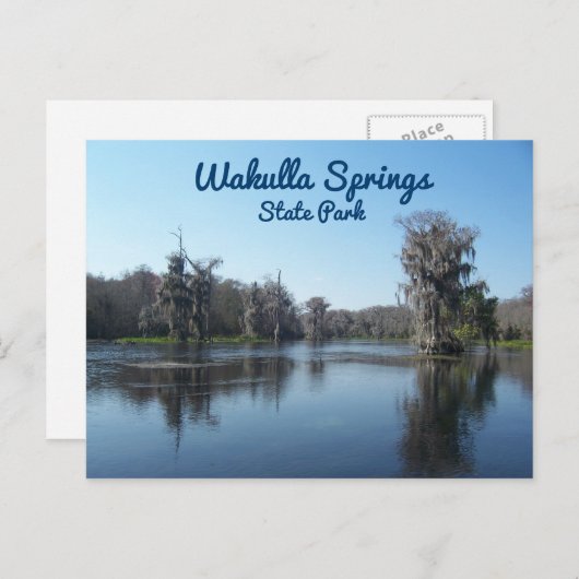 Cypress Trees at Wakulla Springs Staat Park Postkarte (Vorne/Hinten)