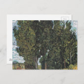 Cypress Trees by Van Gogh Postkarte (Vorne/Hinten)