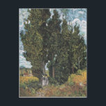 Cypress Trees by Van Gogh Postkarte<br><div class="desc">Vincent Van Gogh Landschaftsmalerei Serie - Cypress Trees</div>