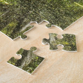 Cypress Trees Covered with Spanish Moss Puzzle (Seite)