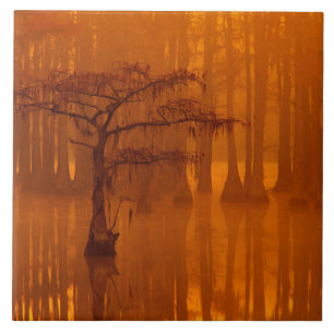 Cypress Trees   George Smith Staat Park Fliese