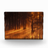 Cypress Trees | George Smith Staat Park Fotoblock (Vorderseite)