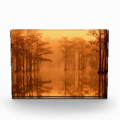 Cypress Trees George Smith Staat Park Fotoblock (Vorderseite)