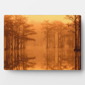 Cypress Trees George Smith Staat Park Fotoplatte (Vorderseite)