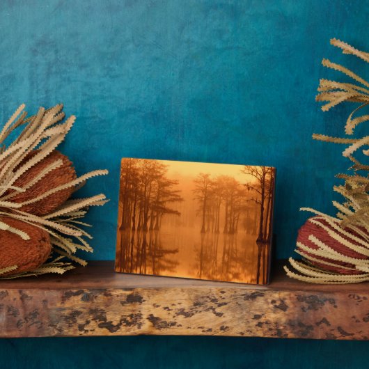 Cypress Trees George Smith Staat Park Fotoplatte (Seite)