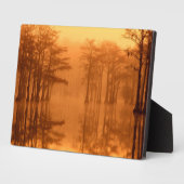 Cypress Trees George Smith Staat Park Fotoplatte (Seite)