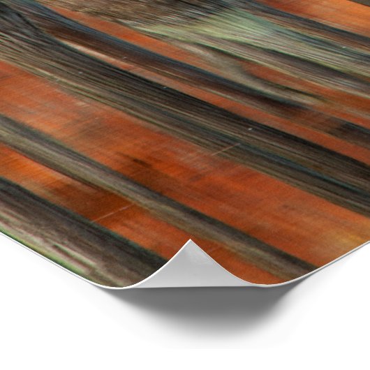 Cypress Trees | George Smith Staat Park, Georgia Poster (Ecke)