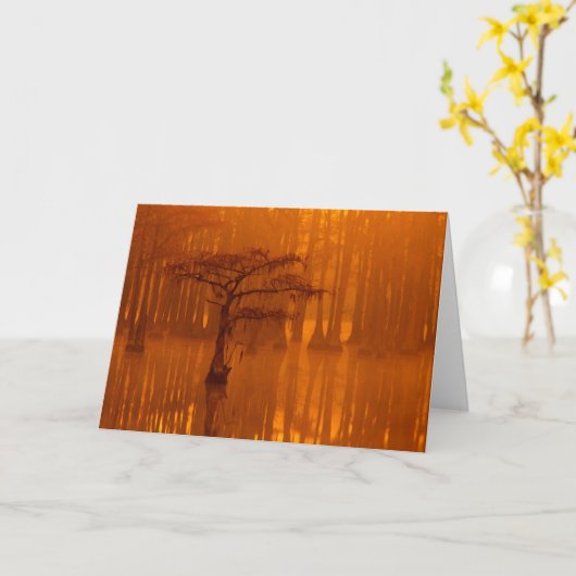 Cypress Trees | George Smith Staat Park Karte (Gelbe Blume)