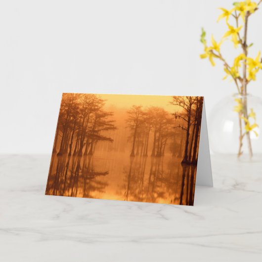 Cypress Trees George Smith Staat Park Karte (Gelbe Blume)