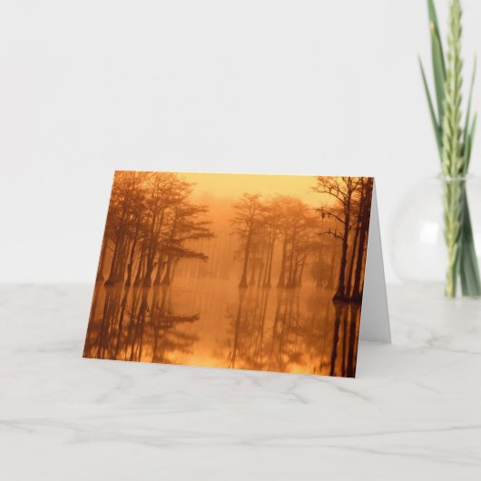 Cypress Trees George Smith Staat Park Karte (Vorderseite)