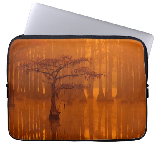 Cypress Trees | George Smith Staat Park Laptopschutzhülle (Vorderseite)