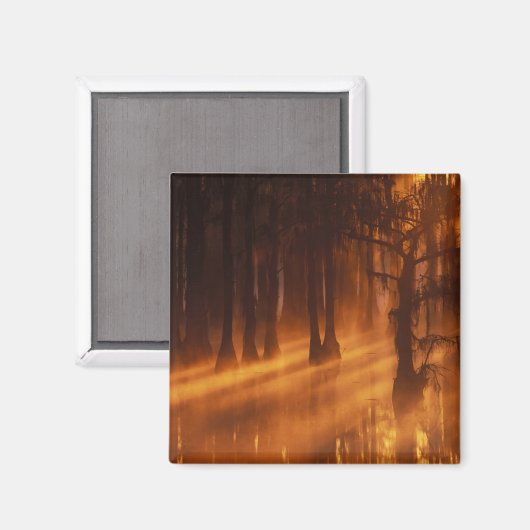 Cypress Trees | George Smith Staat Park Magnet (Vorderseite/Rückseite)