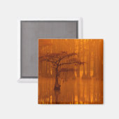 Cypress Trees | George Smith Staat Park Magnet (Vorderseite/Rückseite)