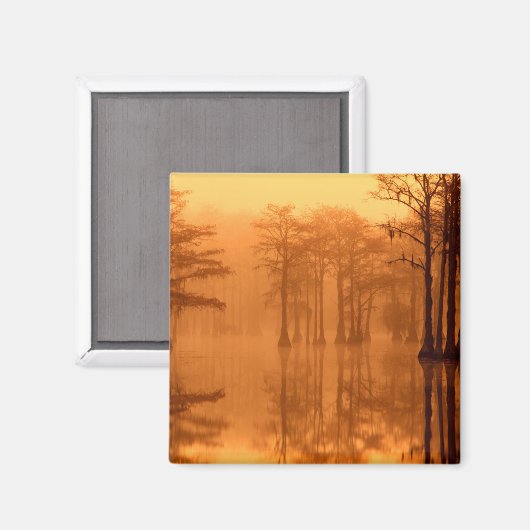 Cypress Trees George Smith Staat Park Magnet (Vorderseite/Rückseite)