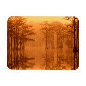 Cypress Trees George Smith Staat Park Magnet (Horizontal)