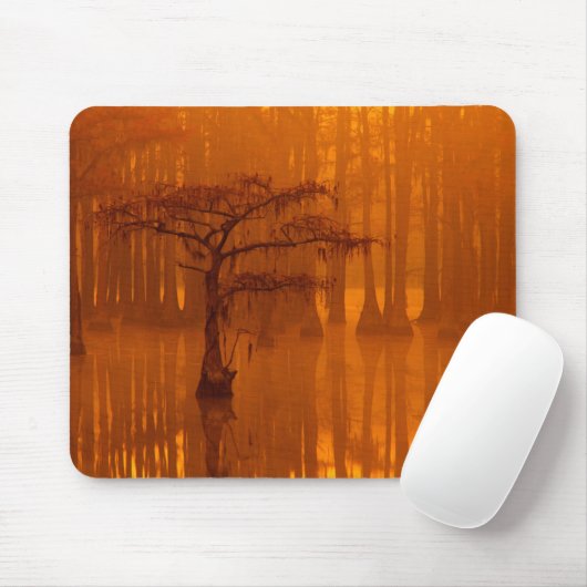 Cypress Trees | George Smith Staat Park Mousepad (Mit Mouse)
