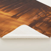 Cypress Trees | George Smith Staat Park Sherpadecke (3/4)