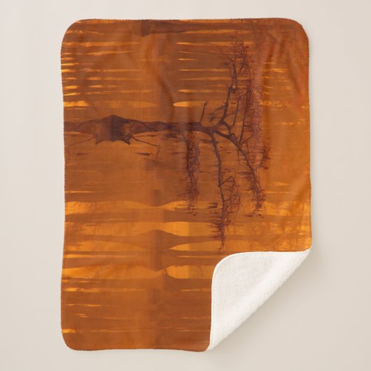 Cypress Trees | George Smith Staat Park Sherpadecke (Vorderseite)