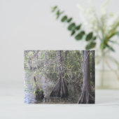 Cypress Trees Postcard Postkarte (Stehend Vorderseite)