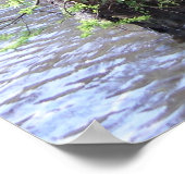 Cypress Trees Poster (Ecke)