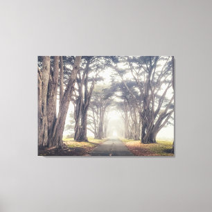 Cypress-Tunnel in Nebel Leinwanddruck